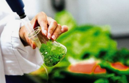 農藥殘留前處理